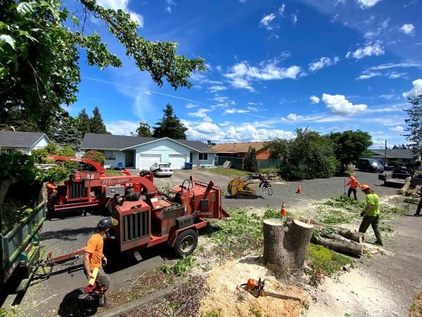 Santiam Tree Service