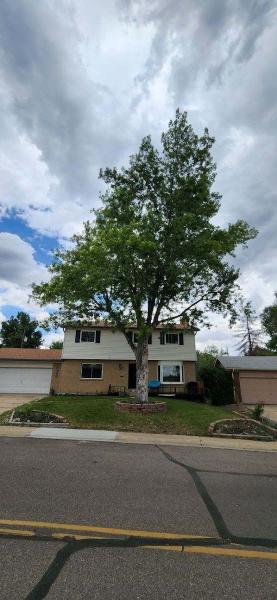 Riverdale Tree Services