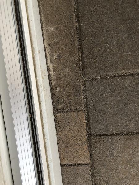 Windowsmith Window Cleaning