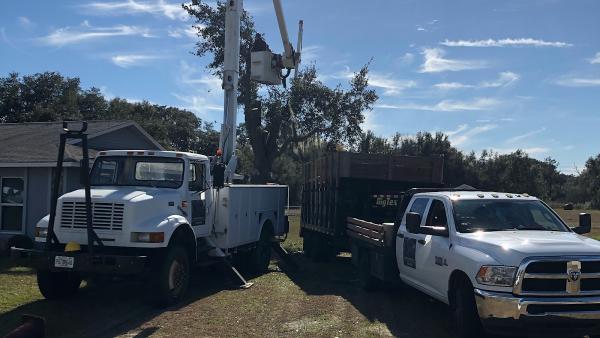 Ground Up Services LLC Tree Service