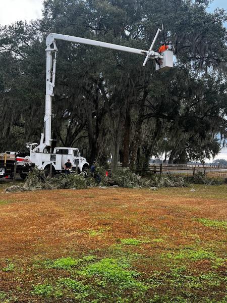 Ground Up Services LLC Tree Service