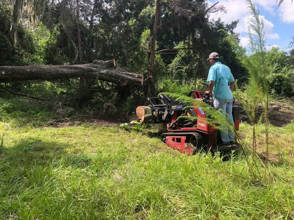 Ground Up Services LLC Tree Service