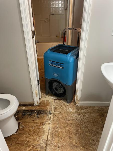 Mold Solutions Home Services LLC