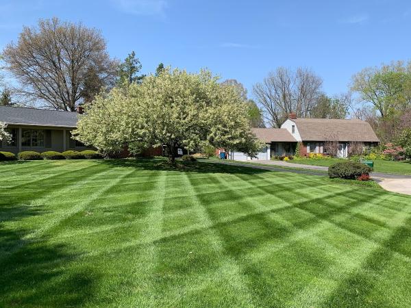 Indy Cutters Lawn Care
