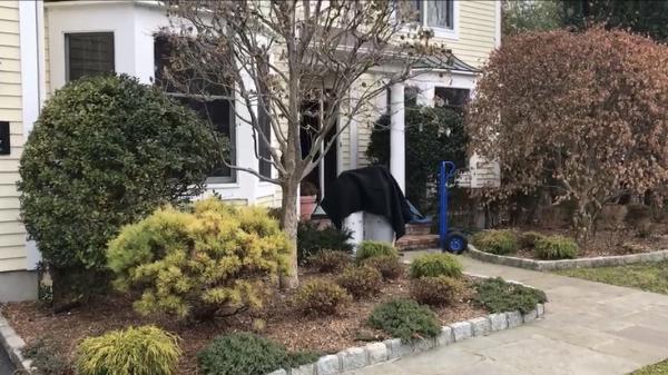 Pro Heat Bed Bug Removal