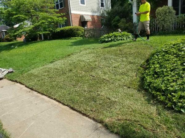 Bam's Landscaping