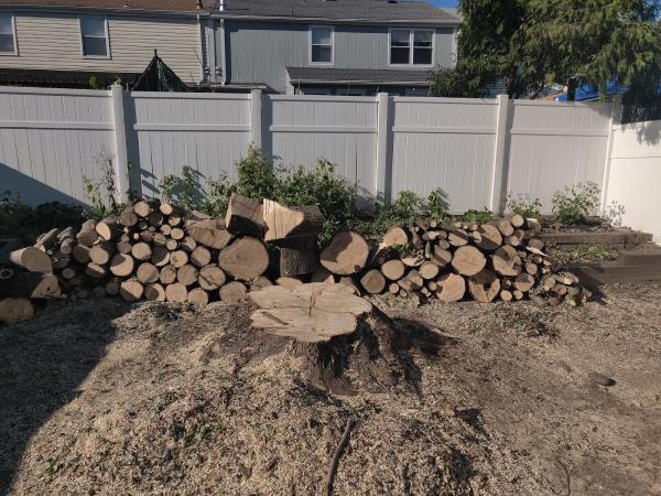JJ Treetops LLC