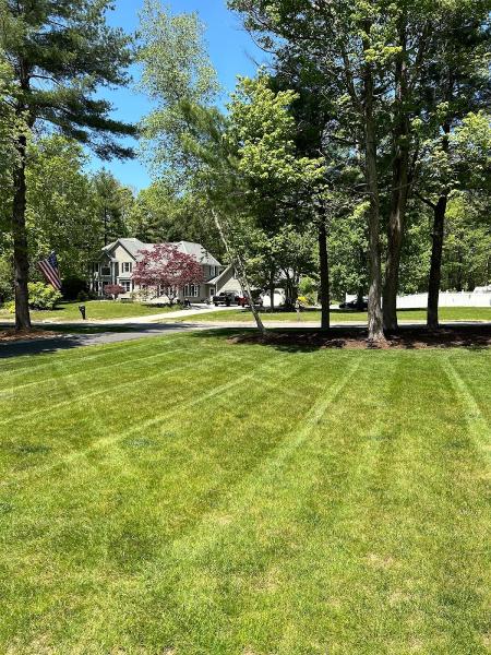 Battle Buddies Landscaping & Lawn Care