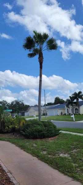 Nature Nate's Tree Service