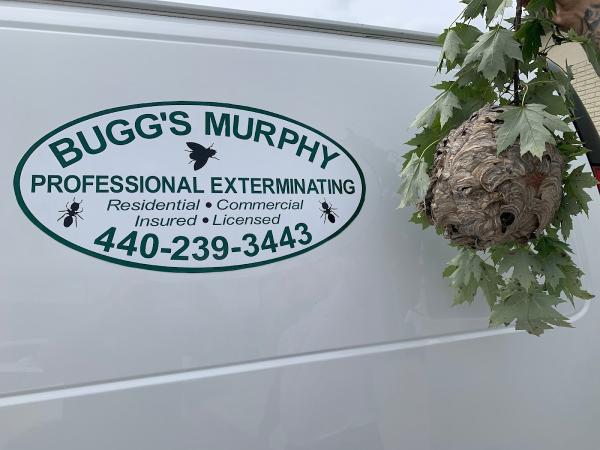 Bugg's Murphy Professional Exterminating