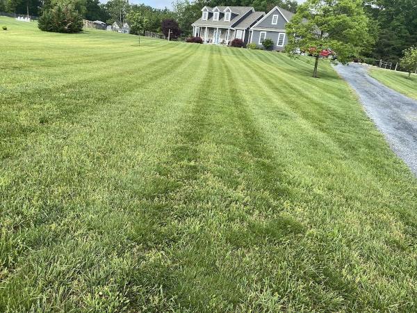 Bosques Landscaping Solutions Llc