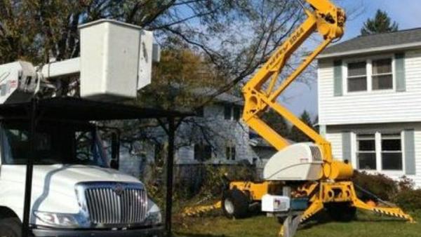 The Tree Trimmer