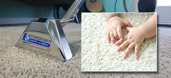 Carpet & Upholstery Cleaning Inc