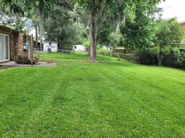 Lion Lawn Care
