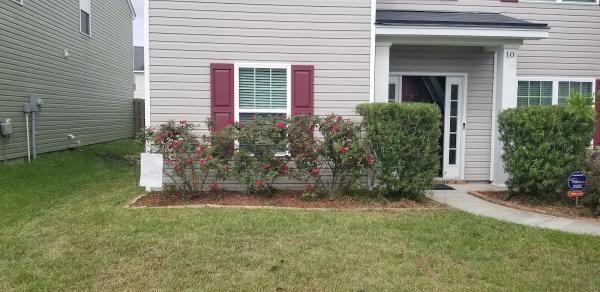 Lion Lawn Care