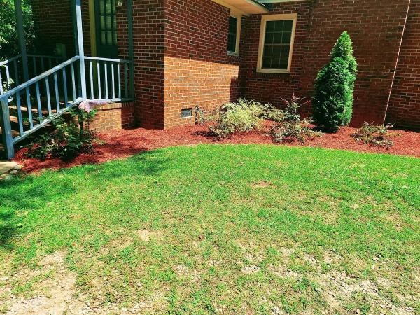 Carolina Gold Lawn & Detailing Services LLP