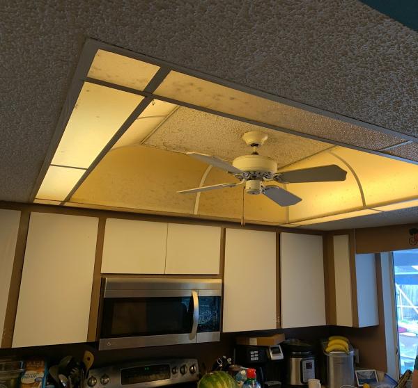 Done Right Construction Inc