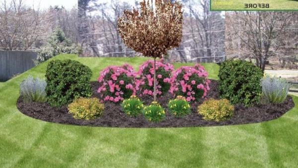 Betos Landscaping.llc