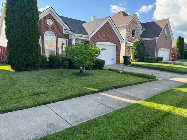 Simplicity Landscape & Design