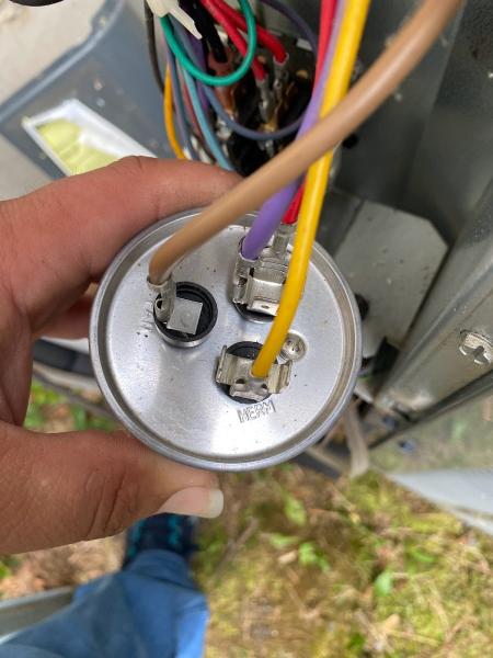 Handyman CLT