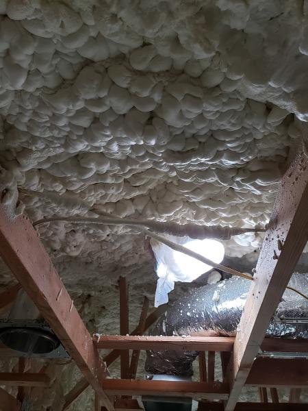 Dynamic Remodeling and Restoration