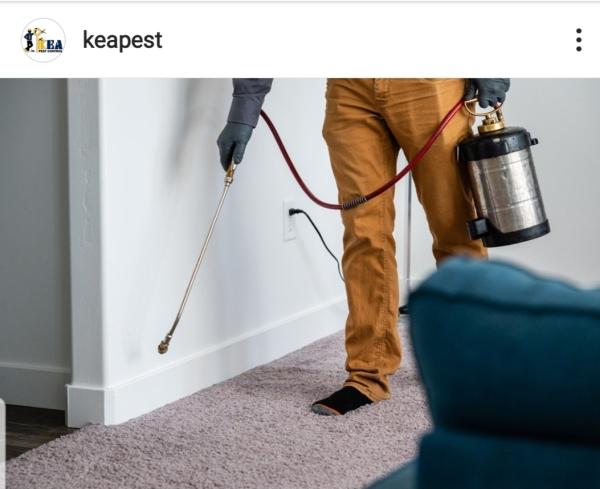 KEA Pest Control