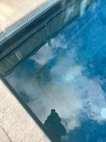 Sand Dollar Pools Inc.