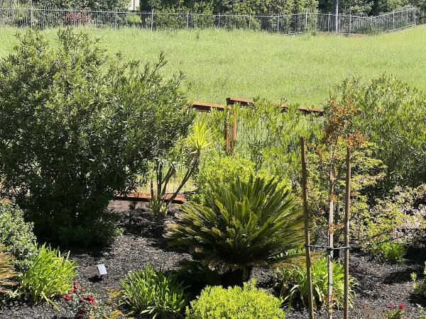 California Fences