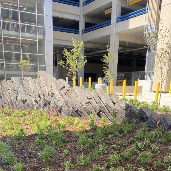 Cedar Ridge Landscaping Inc