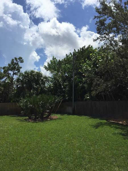 Pro Green Lawn Spray Inc