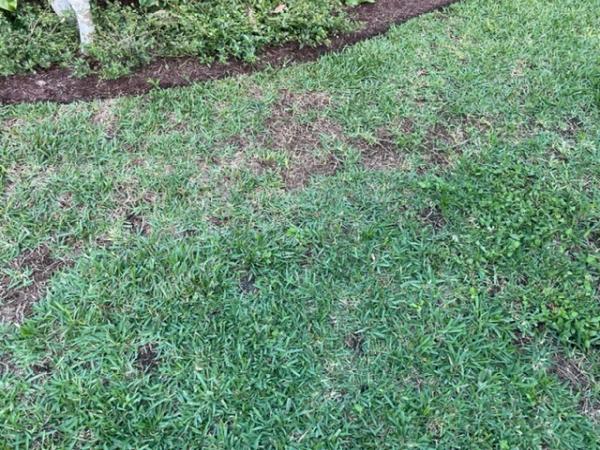 Pro Green Lawn Spray Inc