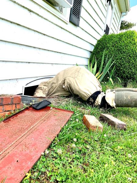 Permatreat Pest & Termite Control