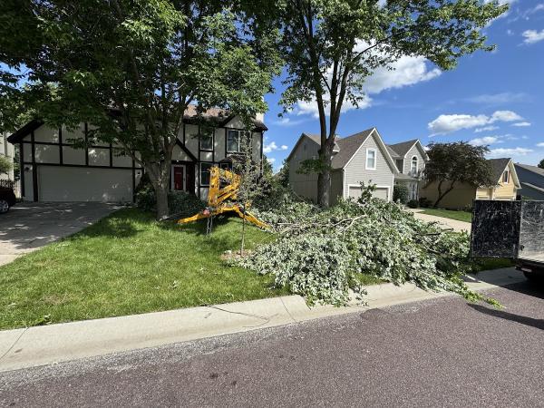 Johnson County Junk Removal & Dumpster Rental