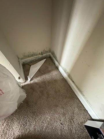 Rapid Air Testing LLC