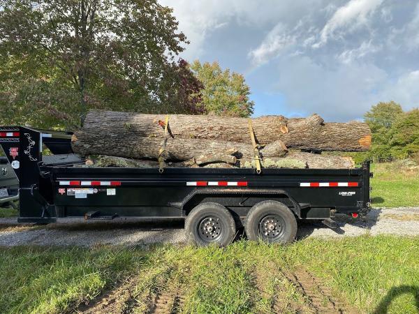 Wilschek Tree Service