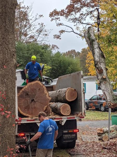 Rob's Tree Service