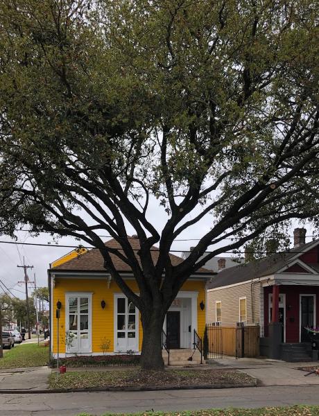 Lookin' Good Treeman Service LLC