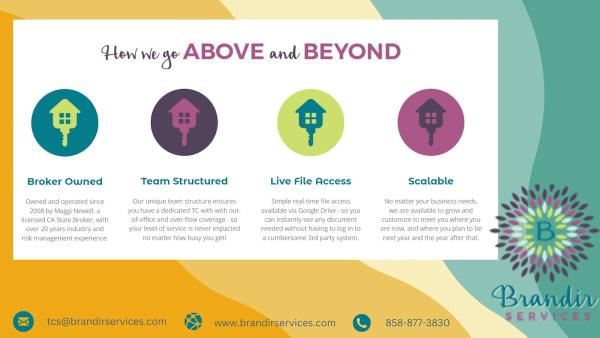 Brandir Services LLC