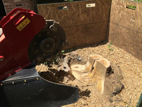 Front Range Stump Grinding