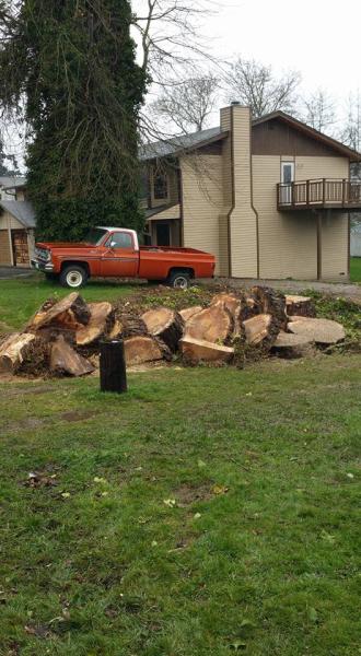 Natures Way Tree Service