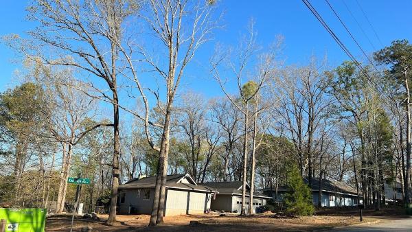 Advance Tree Removal and Land Management