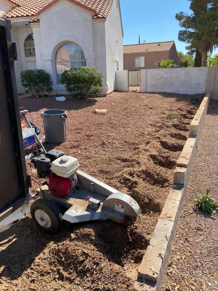Duranchi Tree Service