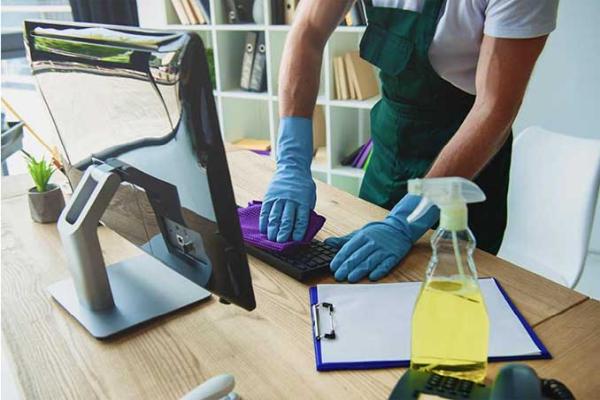 Homemaid Professional Cleaning Services