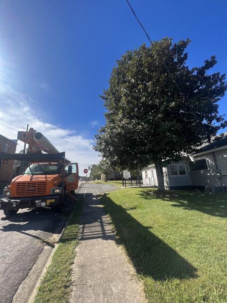 Heath Tree Care LLC