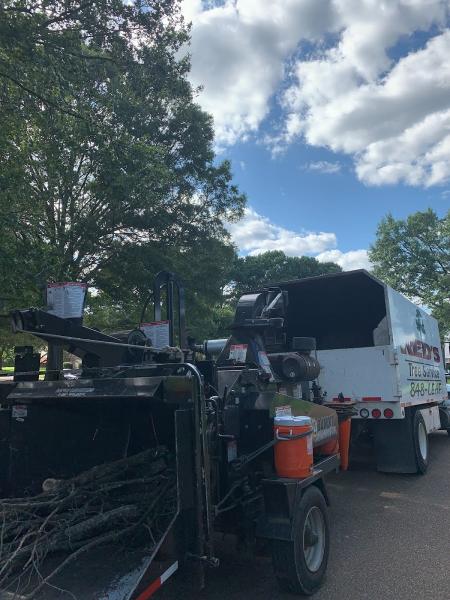 Red's Tree Services & Stump Grinding