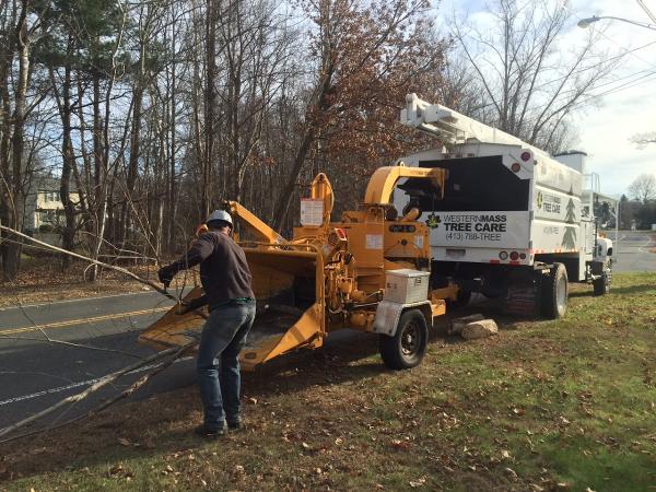 Western Mass Tree Care