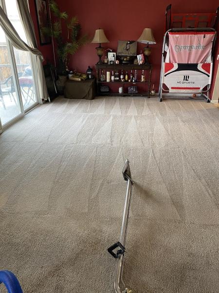 Dmjs Carpet Cleaning