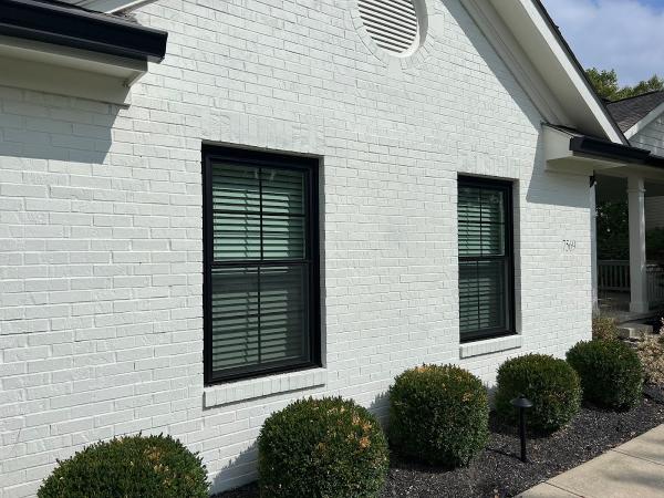 Freedom Windows
