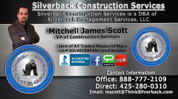 Silverback Construction Services