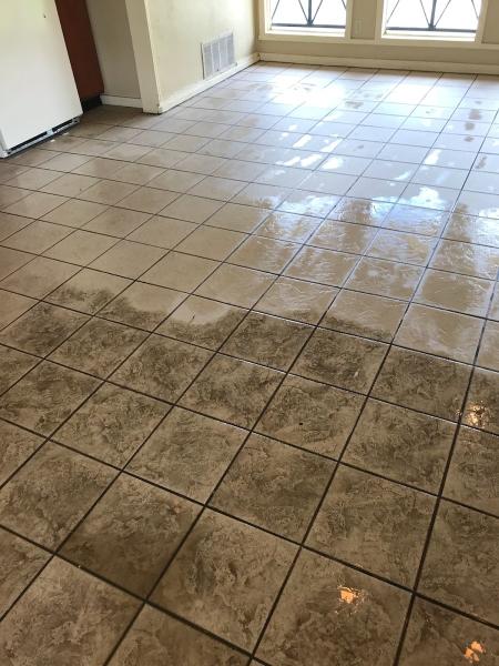 Pathfinders Carpet Cleaning